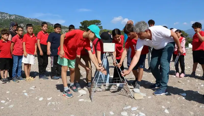 Kemer'de Caretta Caretta Koruma Yasakları Başladı: Ekosistemin Geleceği Tehlikede!