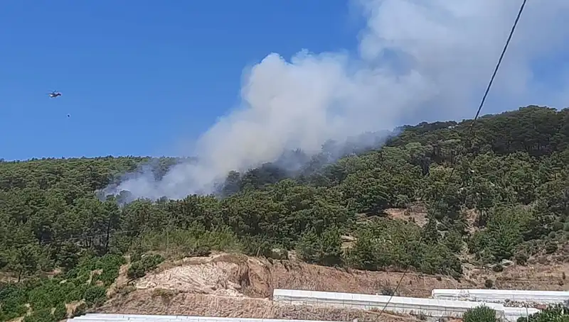 Kumluca'da Orman Yangını: Doğanın Kalbinde Korkutan Gelişmeler