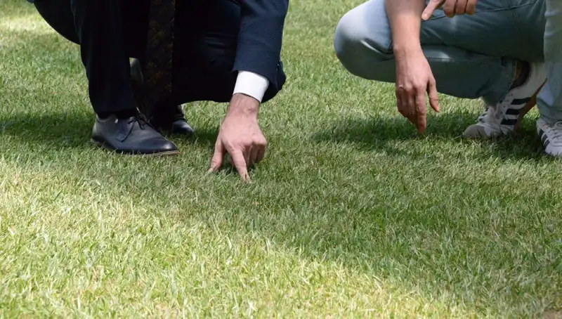 Tartışmalı Stadyum Zemini: 10 Gün İçinde Hazır Olacak mı?