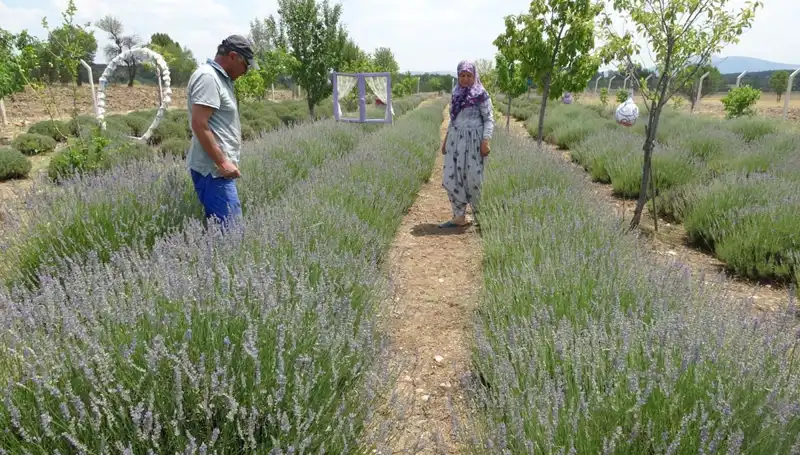 Hobi Paylaşımlarından Geçim Kaynağına: Başarı Hikayeleri