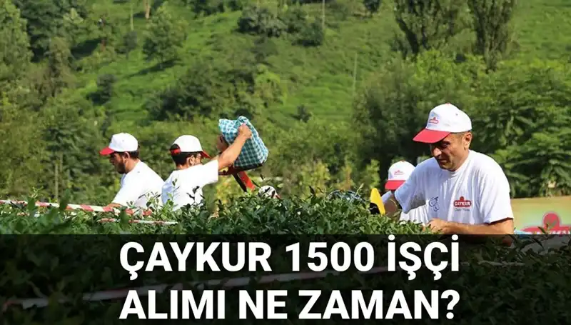 ÇAYKUR İşçi Alımı Kura Çekimi Tarihleri Belli Oldu, Gözler Nihai Listeye Çevrildi