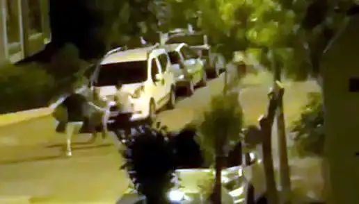 Avcılar'da 3 Kişinin Saldırısına Uğrayan Adamı Mahalleli Kurtardı!