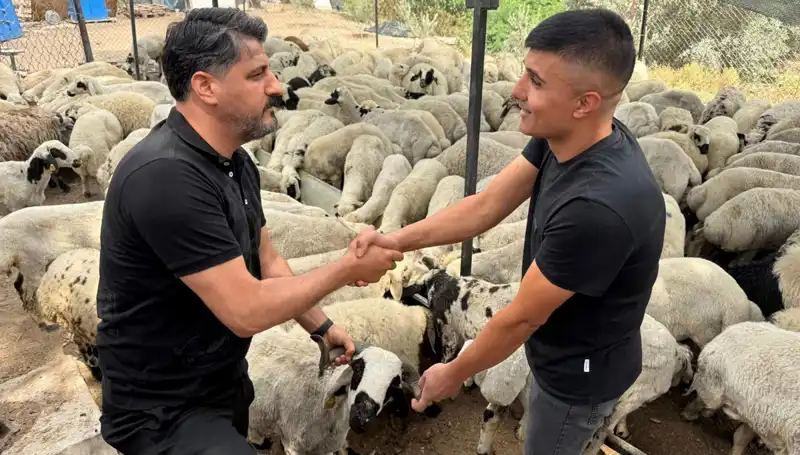 Kurbanlık Alırken Tuza Dikkat: Sağlığınızı Tehdit Eden Sır!