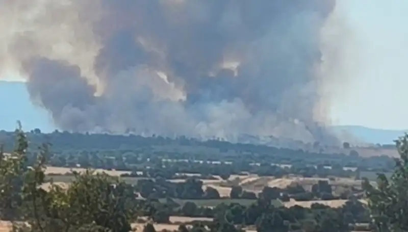 Komşudaki Orman Yangını Edirne'yi Dumana Boğdu, Havayı Kirlilikte Zirveye Taşıdı