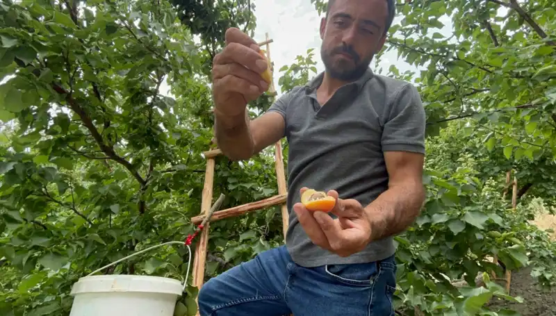 Lezzet Avcıları İçin Fırsat: 50 TL ile 70 TL Arası Damak Çatlatan Ürünler