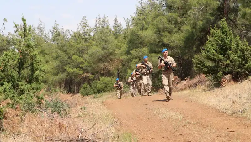 Kilis'te Orman Yangını Denetimi: Yangın Riskine Geçit Yok!