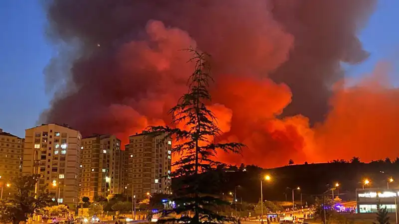 Bursa'da Yangın Alarmı: Şehirde Alevler Tutuşmuş Durumda!