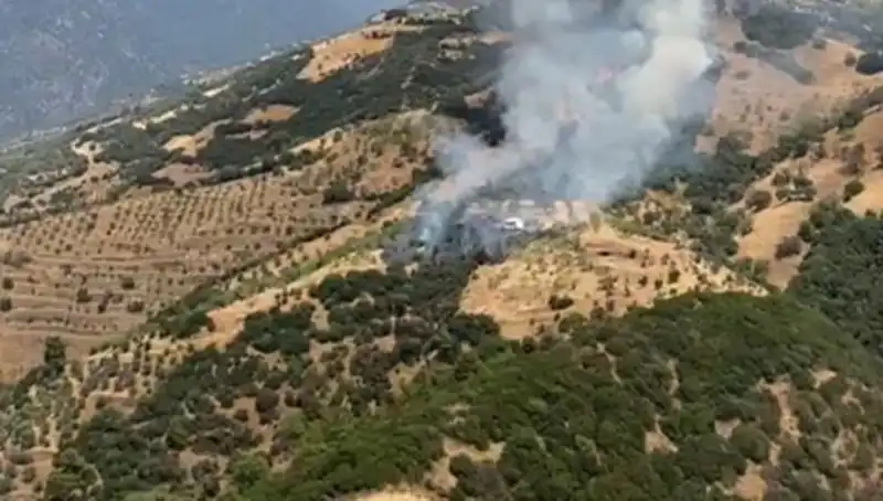 Aydın'da Korkutan Zeytinlik Yangını: Son Durum Ne?