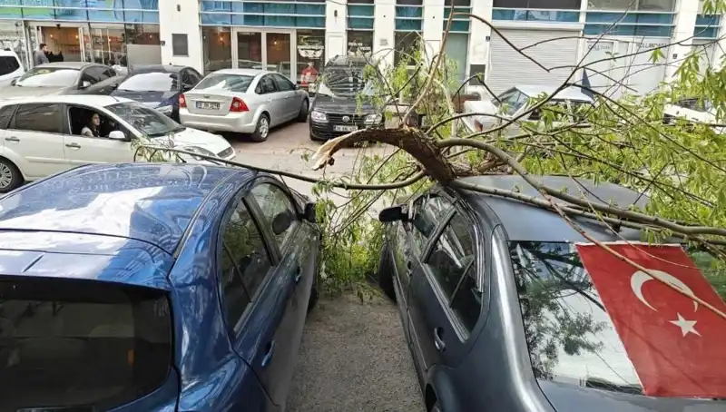Kayseri'de Dalları Kıran Fırtına, Hayatı Olumsuz Etkiledi!
