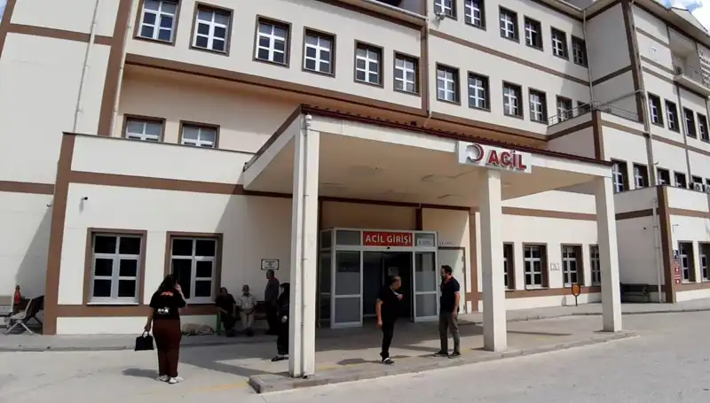 Bolu’da Ayı Avı İle İlgili Çarpıcı Karar! Neler Olacak?