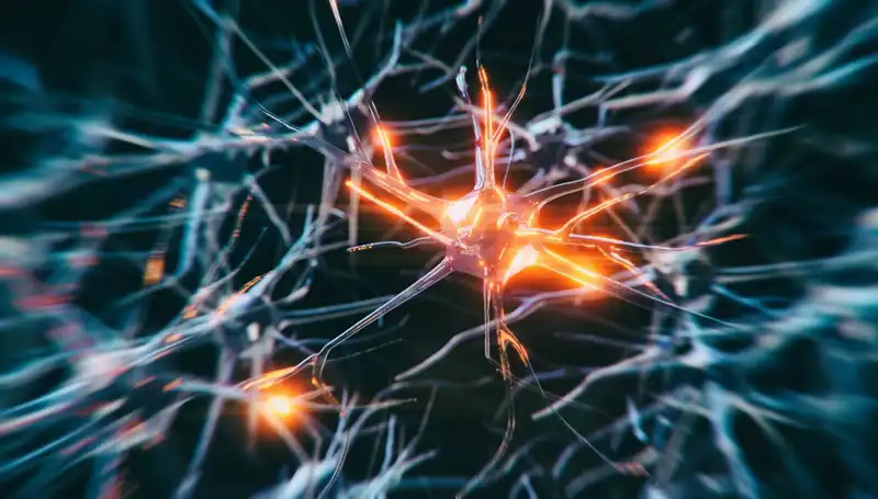 Alzheimer Vakalarının Artışı: Nedenleri ve Küresel Etkileri Üzerine Bir İnceleme