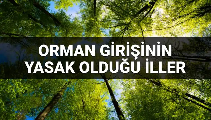 2025 Yılında Ormana Girişi Yasaklanan İllerin Şaşırtıcı Listesi