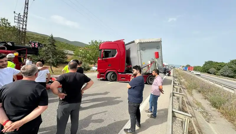 Seyir Halindeyken Arı Soktu: Trafik Kaosuna Sebep Oldu!