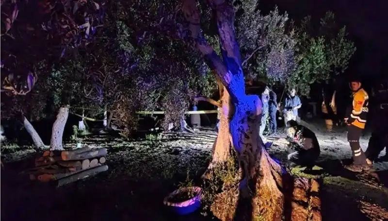 Çiftlikteki Baltalı Vahşete Sıcak Gelişme: Bir Kişi Tutuklandı!