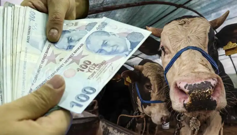 Bayram Öncesi Memur ve Emekli Maaşları Erken Mi Yatacak?