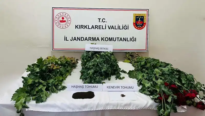 Kırklareli'nde düzenlenen büyük uyuşturucu operasyonunda 8 kişi gözaltına alındı