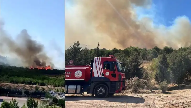 Gebze’deki Orman Yangını: Doğa Vahşetle Yüzleşiyor