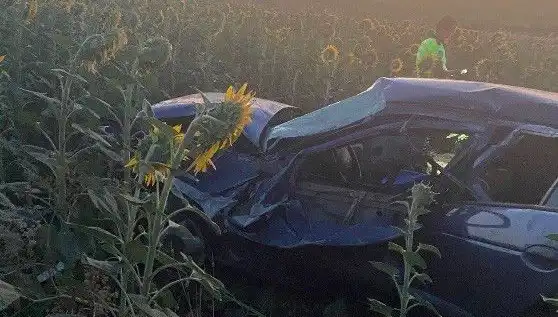 Otomobil Ayçiçeği Tarlasına Devrildi: Kaza Sonrası Yaralılar ve Olayın Detayları