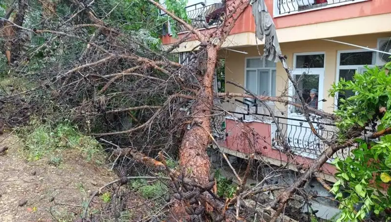 Yağmura Yenik Düşen Bina, Asfaltın Ortasında Faciaya Neden Olabilir miydi?