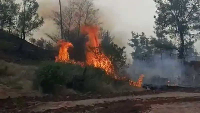Denizli’de Yangın Alarmı: 7 Hektar Orman Alanı Küle Döndü