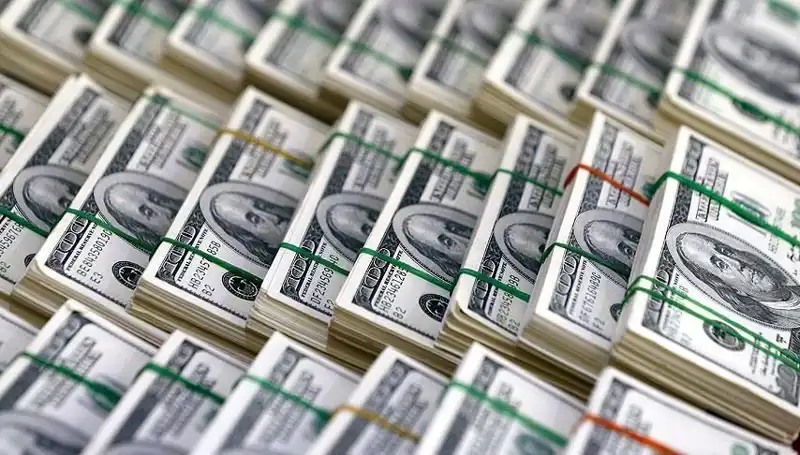 Doların Hızla Yükselme Tehlikesi: Uzmanlardan Kritik Uyarılar