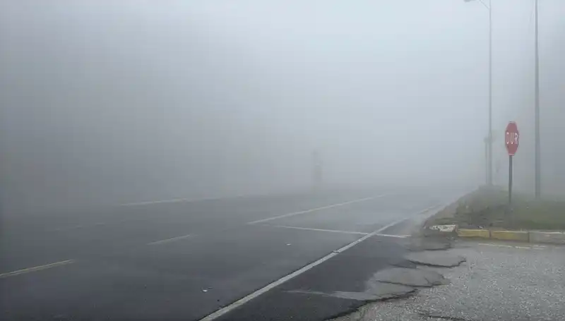 Bolu Dağı'nda Görüş Mesafesini Düşüren Gizemli Sis Etkisi Hakkında Her Şey
