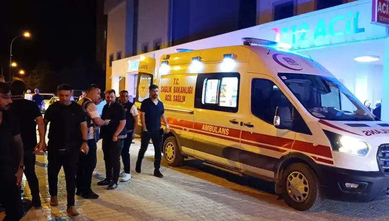 Kardeşiyle Kavga Eden Adam, Hayatını Riske Attı!