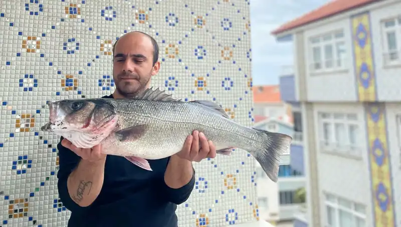 7,5 Kiloluk Dev Levrek, Balıkçıların Hayallerini Süslüyor!