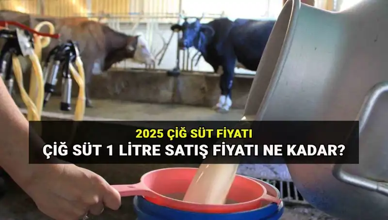 2025 Yılı İçin Çiğ Süt Fiyatları Açıklandı: Beklentiler Ne Yönde?