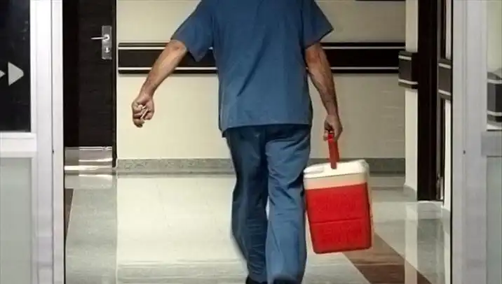 Organ Bağışında Dijital Dönüşüm: e-Devlet ve e-Nabız İle Yeni Adım
