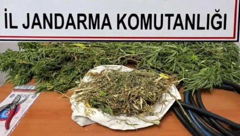 Niğde'de Uyuşturucu Operasyonu: 5 Kişi Gözaltına Alındı