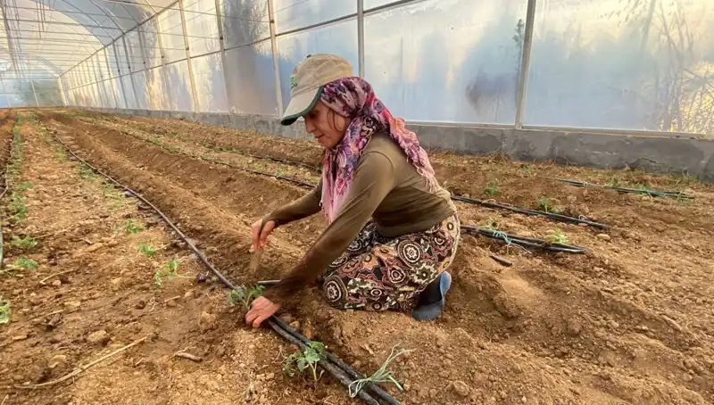 Fideler Toprakla Buluştu: Tarımda Günlük 6 Saat Çalışan Genç Çiftçiler