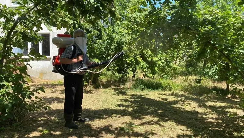 Çiftçilere Umut Olacak Kükürt ve Samuray Arısı: Mücadele Başlıyor