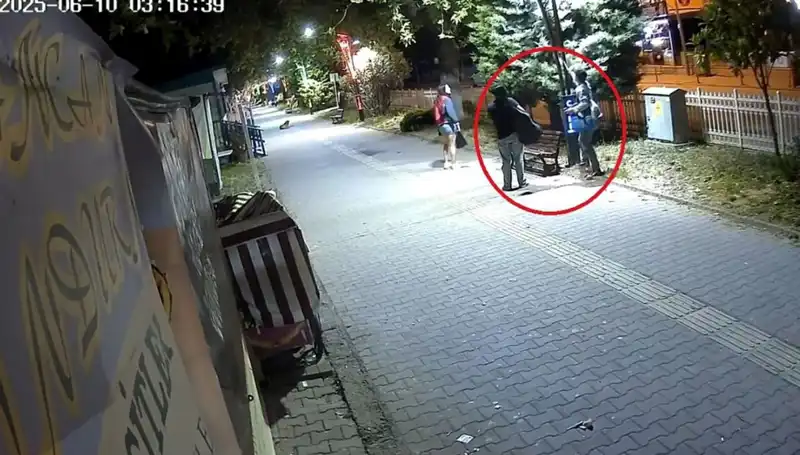 Aydınlatma Direklerindeki LED Işıkları Sökerek Dev Zarar Oluştu