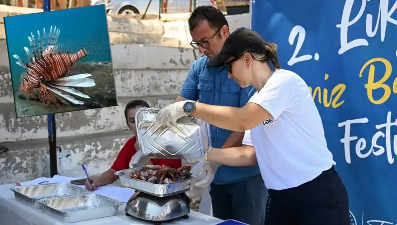Antalya’da Heyecan Dorukta: İstilacı Aslan Balığı Avlama Yarışması Başlıyor
