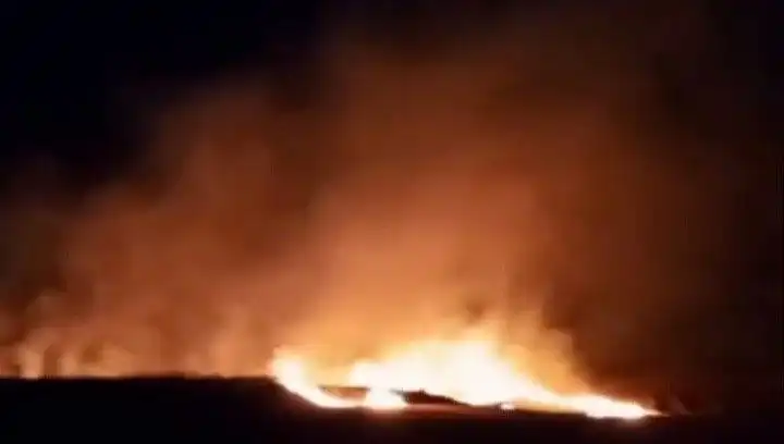 Tekirdağ'da 20 Dekar Buğday Ekili Alan Yangında Küle Döndü