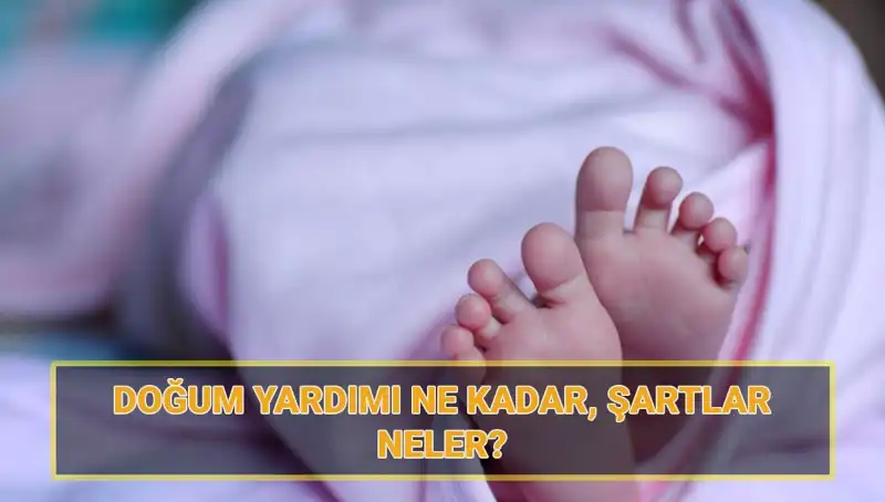 2025 Doğum Parası Ne Kadar, Başvuru Şartları Neler?